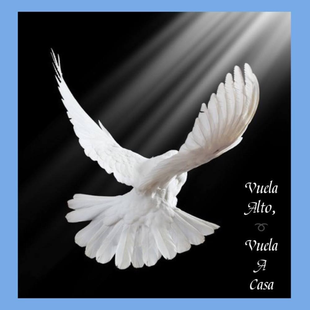 Meet your Posher, Lucy